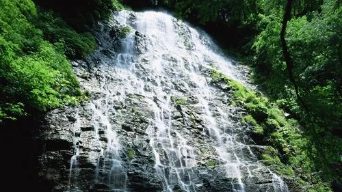 高精度可靠性